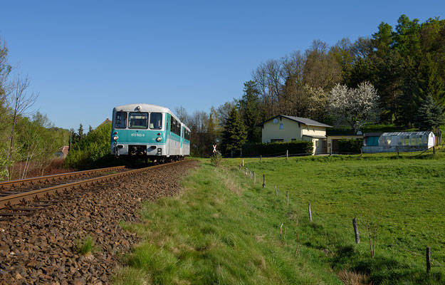 Das Löbauer Ferkeltaxi pendelte an beiden Festtagen zwischen Löbau und dem tschechischen Rumburk, hier bei Dürrhennersdorf. 08.05.16