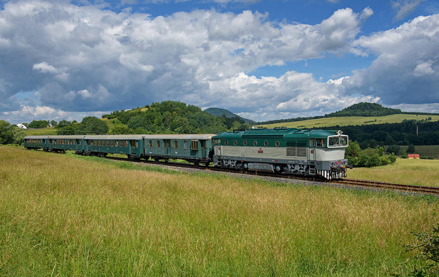 T478.3101 am Os 6654 Decin-Rumburk bei Veselé pod Rabštejnem, 18.06.16