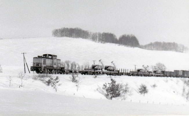 Eine V60 mit gemischtem Güterzug von Neustadt nach Pirna bei Langenwolmsdorf. 