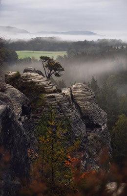 Herbstmorgen auf dem Gamrig bei Rathen.