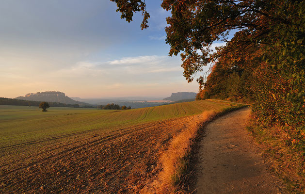 Unterhalb des Pfaffensteins. Blick zu Festung Königstein (links) und Lilienstein. 