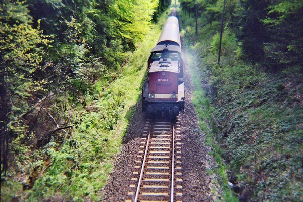 Regionalbahn Neustadt-Bautzen kurz vor Neukirch / Lausitz ( West ). 1999, Foto: Pierre Güttler