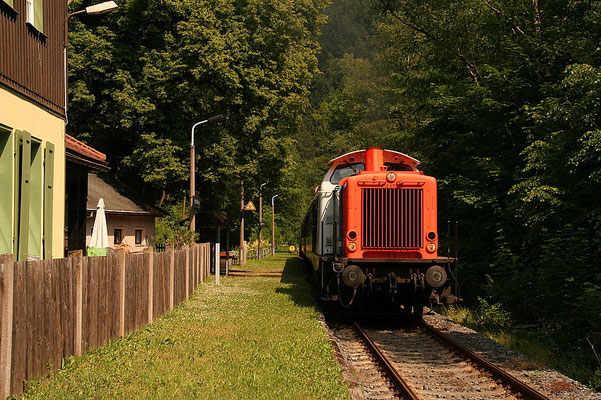 Hier macht der Zug am idyllisch gelegenen Haltepunkt Porschdorf halt. Weiter geht die Fahrt nach Bad Schandau. 04.06.11. Foto: André Beck