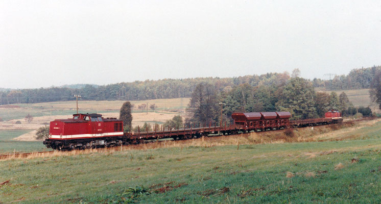 2x V100 mit 202 836 als Zuglok mit Güterzug von Neustadt Richtung Sebnitz. 