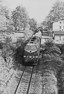 119 134 mit Güterzug von Bad Schandau nach Neustadt in Krumhermsdorf.