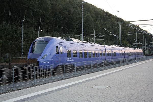 Brandneuer Dieselelektrischer Zug der Firma Alstom für das Schwedische Eisenbahnunternehmen Skânetrafiken im Bahnhof Bad Schandau, 23.09.09. Foto: Jürgen Vogel