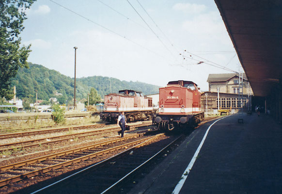 Zwei Lokomotiven der BR 202 ( ex DR V 100 ) warten in Bad Schandau auf ihren nächsten Einsatz ( 1995 )