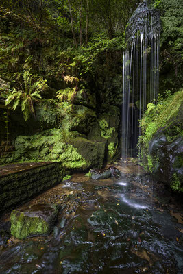 Kleine Wasserkaskaden am Amselfall oberhalb von Rathen. 