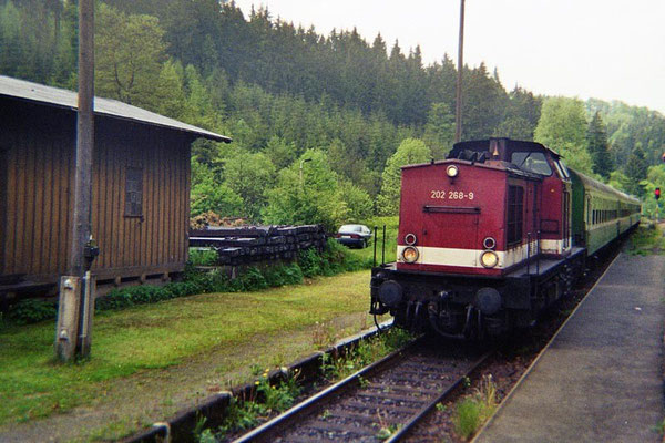 Regionalbahn von Bad Schandau nach Neustadt in Ulbersdorf. 1999, Foto: Pierre Güttler