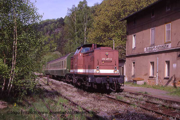 202 407 von Bad Schandau kommend auf dem Weg nach Neustadt / Bautzen. Hier am HP Goßdorf-Kohlmühle. 05.05.1999 Foto: Ingo Fritzsch