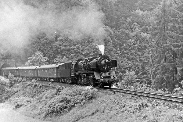 50 3616 mit Sonderzug in Richtung Neustadt am Tunnel 3. 