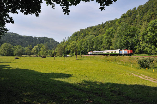 212 261-2 zieht den Zug auf dem Weg nach Sebnitz durch den breiten Taleinschnitt zwischen Goßdorf-Kohlmühle und Mittelndorf. 04.06.11, 11:31 Uhr
