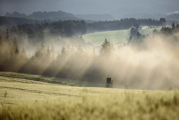 Morgenstimmung am Lichtenhainer Panoramaweg. 