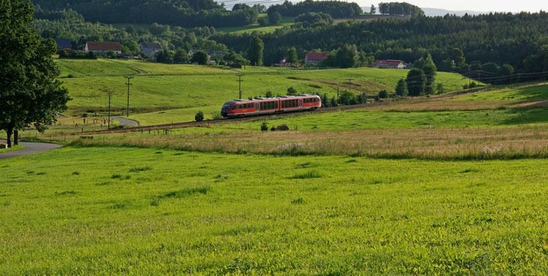 Regionalbahn nach Neustadt bei Krumhermsdorf, Juli 2009