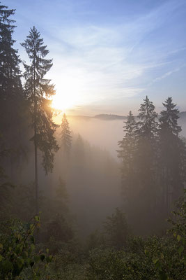 Morgenstimmung am Lichtenhainer Panoramaweg.