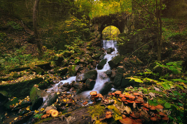 Herbst im Bärengarten bei Hohnstein.