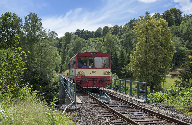 810 668-4 auf seinem Weg von Dolní Poustevna nach Rumburk bei Horní Poustevna. 22.06.2018