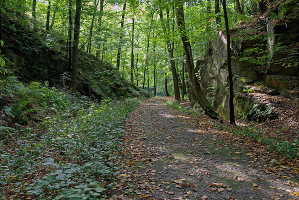 Der Eingang ins Schwarzbachtal, 26.09.09