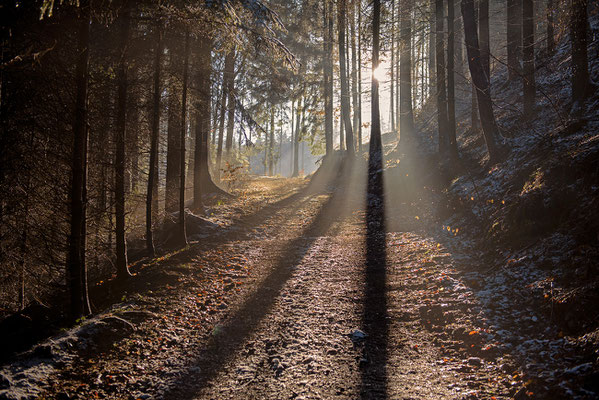 Auf dem Mühlenweg aus dem Sebnitztal hinauf in Richtung Altendorf. 