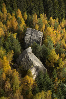 Herbstfarben unterhalb des Pfaffensteins. 