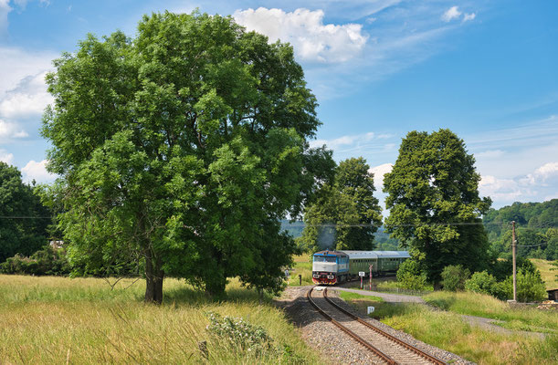 T478 2065 mit dem Lužickohorský rychlík Mikulášovice dolní nádraží - Prag bei Mikulášovice, Juni 2021.