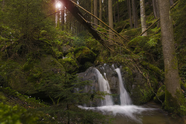 Kleiner Wasserfall im Kohlichtgraben nahe Goßdorf-Kohlmühle. 