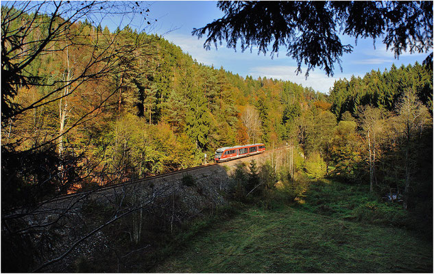 Erstes Streckenfoto mit "neuer" Nationalparkbahn. Ein Desiro befindet sich hier auf der Strecke Rumburk-Sebnitz-Bad Schandau-Decin, aufgenommen im Sebnitztal zwischen Ulbersdorf & Mittelndorf am 19.10.2014.