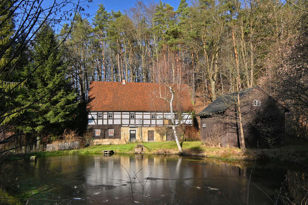 Winter ohne Schnee und bei 16°C im Polenztal. 