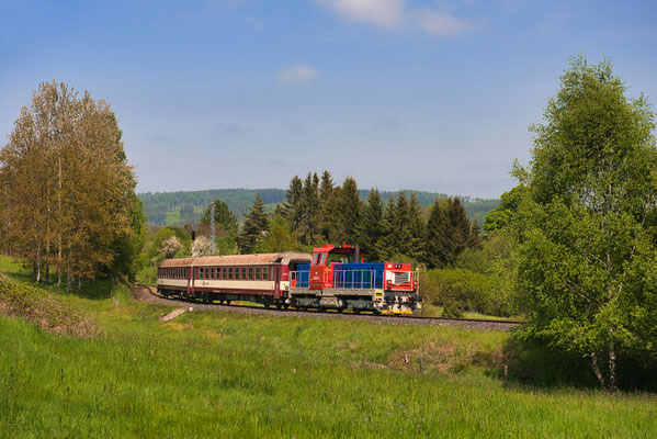 714 014-8 mit dem Deciner Touristenzug nach Rumburk bei Mikulášovice, Mai 2023.