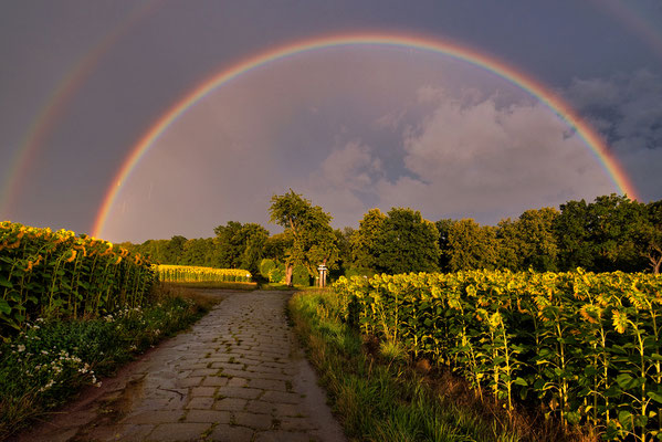 Es schüttet wie aus Kannen, dann bricht die untergehende Sonne nochmal durch und ein wunderbarer Regenbogen erscheint am Himmel. So wünscht sich das der Fotograf :) Auf dem Malerweg bei Lohmen.