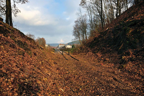 Kurz vor der tschechischen Grenze, im Hintergrund das Bahnhofsgebäude von Dolni Poustevna.