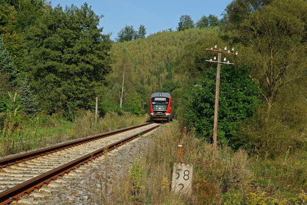 Kilometer 58,2 kurz vor Goßdorf-Kohlmühle: Die Regionalbahn Bad Schandau-Neustadt im schönen Spätsommerlichen Sebnitztal, 27.09.09