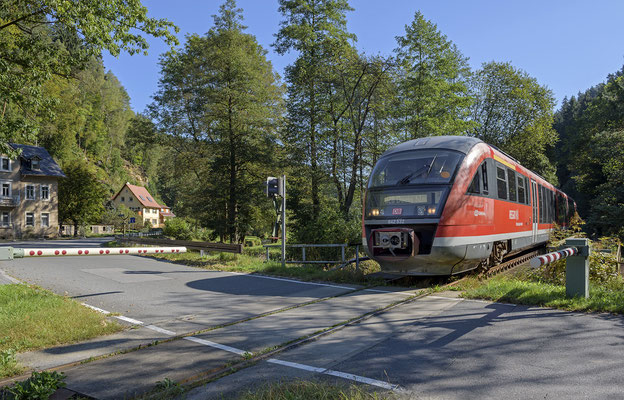 Desiro der Nationalparkbahn von Rumburk nach Decin, hier am BÜ in Goßdorf-Kohlmühle. 15.09.2016