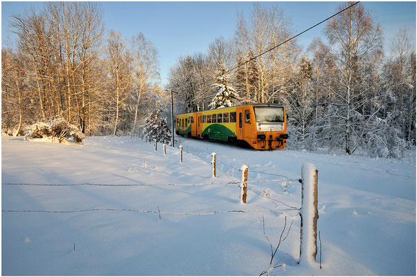 Anfang Dezember sorgte Frau Holle für ein echtes Wintermärchen.814 086-5 bei Vilémov Richtung Dolní Poustévna. 01.12.2012 