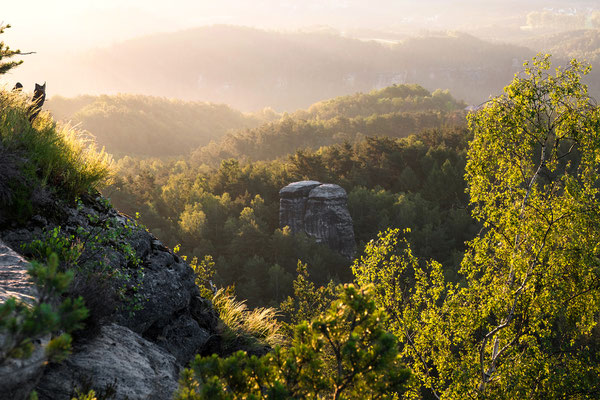 Ausblick vom Rauenstein. 