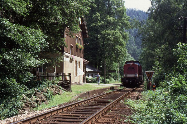 Damals Alltag im Sebnitztal: 112 498 mit P18873 bei der Einfahrt in den Haltepunkt Porschdorf, Foto: Andreas Matschke