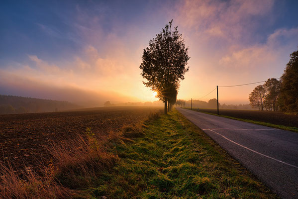 Herbstmorgen an der Straße bei Cunnersdorf ins Polenztal.