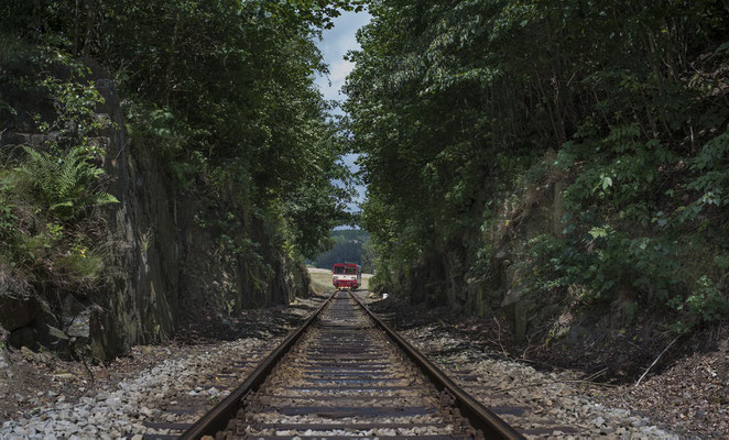 810 668-4 auf seinem Weg von Dolní Poustevna nach Rumburk bei Horní Poustevna. 22.06.2018