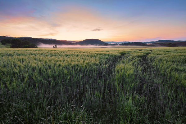 Morgenstimmung bei Lichtenhain. 