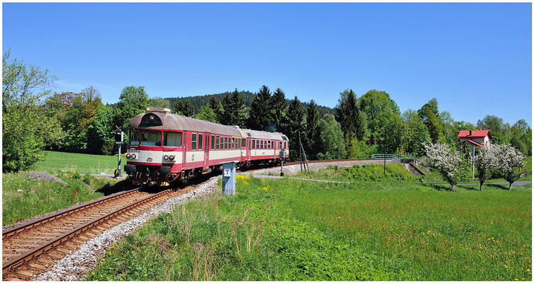 Eine weitere Aufnahme aus Lipová u Šluknova im Weitwinkel. 19.05.2013