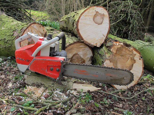 Stihl 07