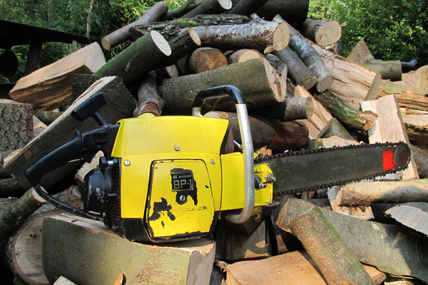 McCulloch  BP 1  -  Ladepumpenmotor