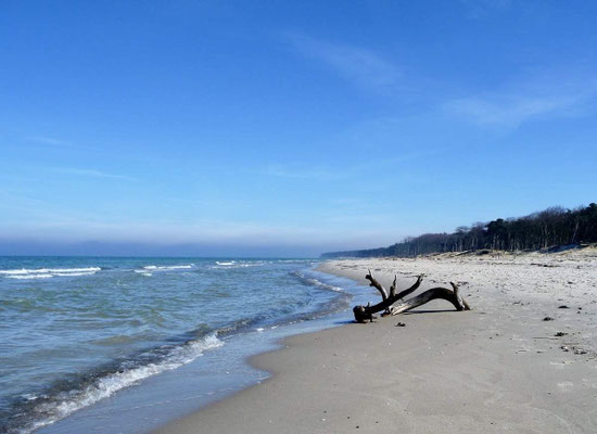 Ferienhaus Wiesenblick in Pruchten - Umgebung, Weststrand 
