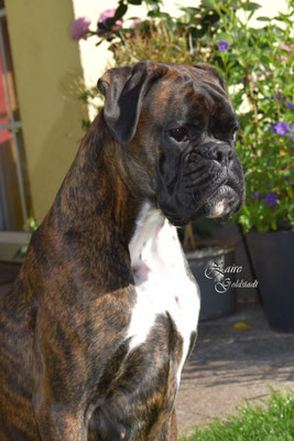 2 Jahre alt