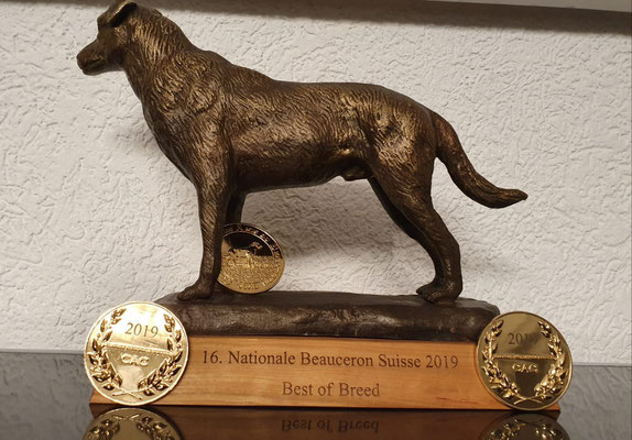 Hier Erfahrst Du Die Neusten Ereignisse Asgards Beauceronss Webseite