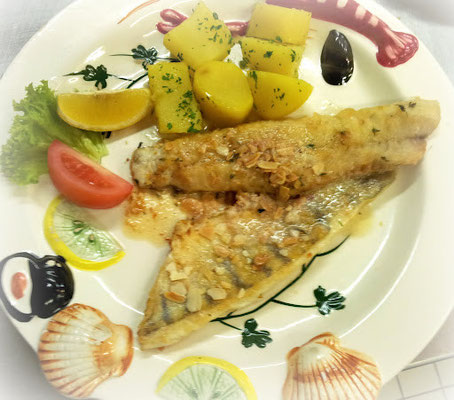 Aus Fluss und Meer Zander