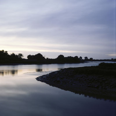 Mamiya C330 Kodak Ektachrome