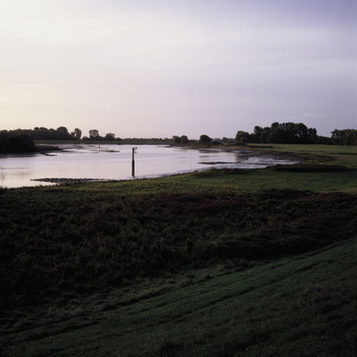 Mamiya C330 Kodak Ektachrome