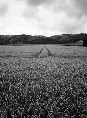 Fuji GS645w Kodak T-Max 400