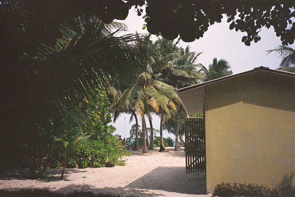 Yashica T3 Kodak Portra 400